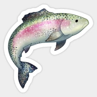 Cozy Rainbow Trout Sticker